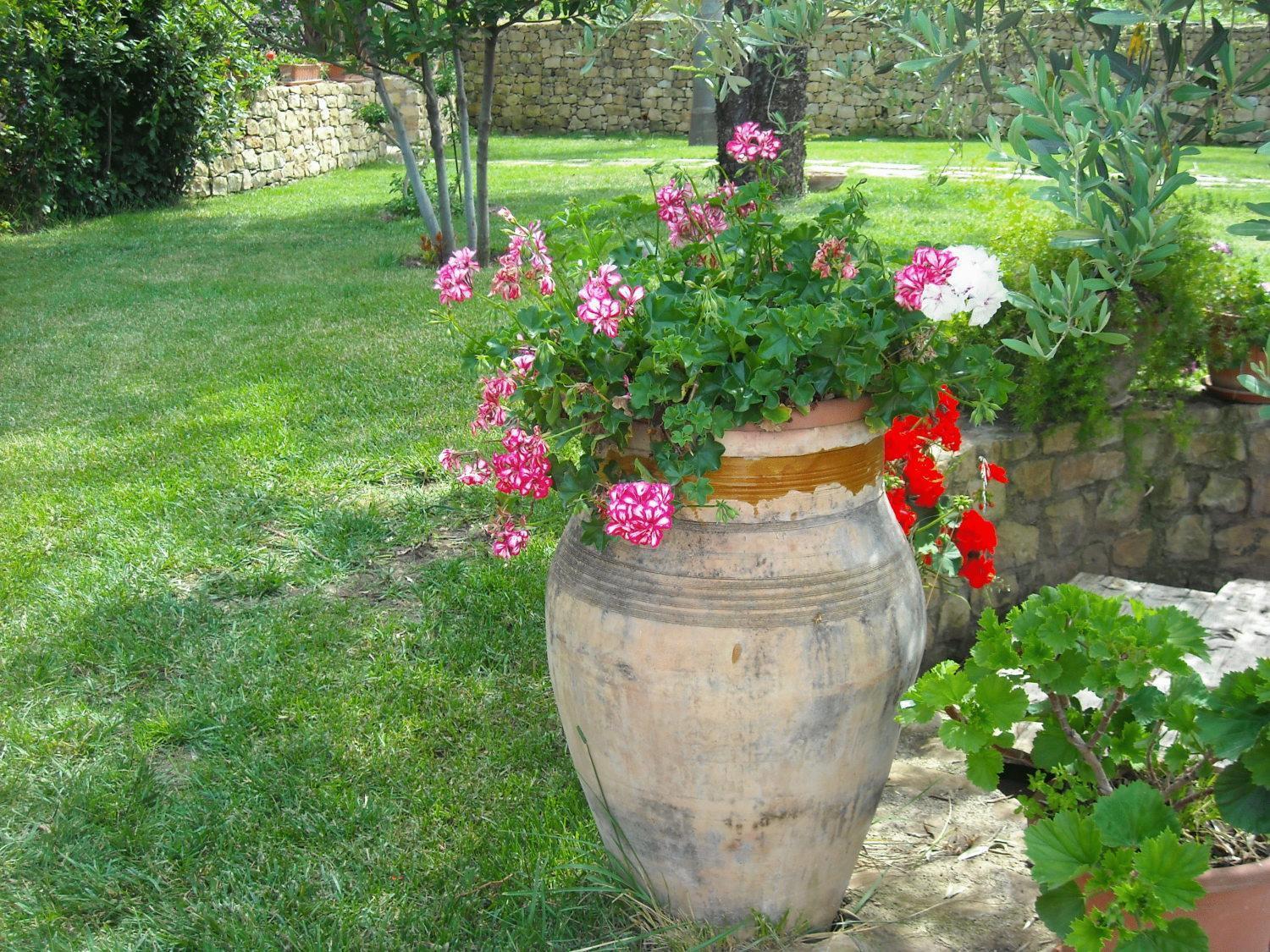 Agriturismo Villa Luca ซานตากาตา ดี มิลลิเตลโล ภายนอก รูปภาพ