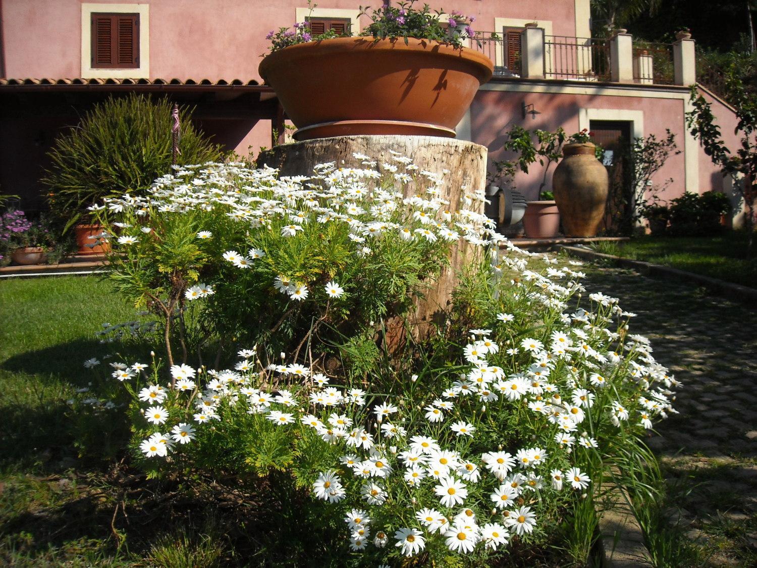 Agriturismo Villa Luca ซานตากาตา ดี มิลลิเตลโล ภายนอก รูปภาพ